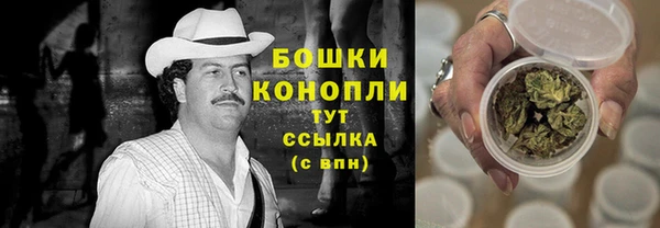 прущие грибы Пересвет