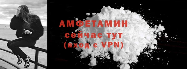 прущие грибы Пересвет