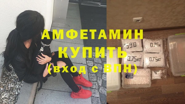 прущие грибы Пересвет