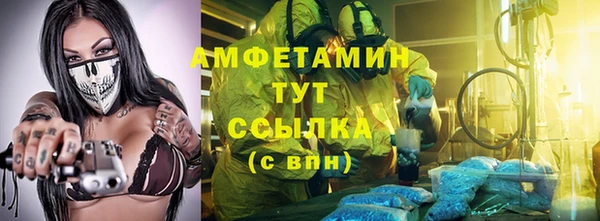 прущие грибы Пересвет